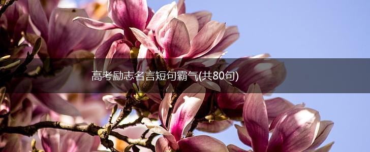 高考励志名言短句霸气(共80句),第1张