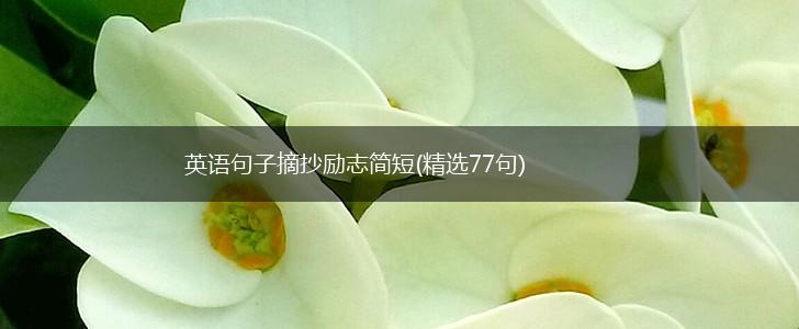 英语句子摘抄励志简短(精选77句),第1张