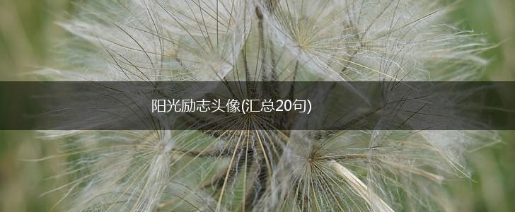 阳光励志头像(汇总20句),第1张