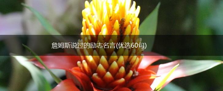 詹姆斯说过的励志名言(优选60句),第1张