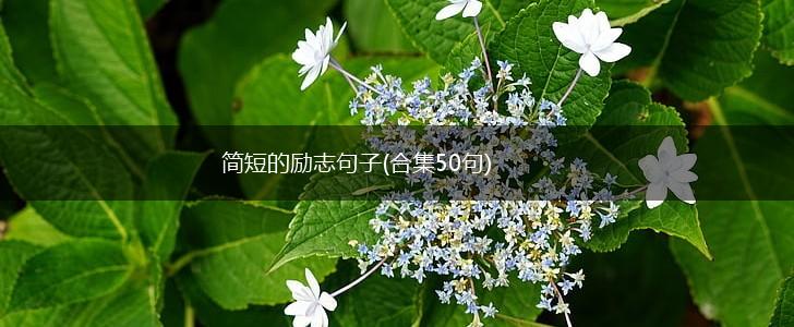 简短的励志句子(合集50句),第1张 简短的励志句子(合集50句),第1张
