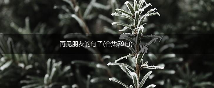 再见朋友的句子(合集79句),第1张