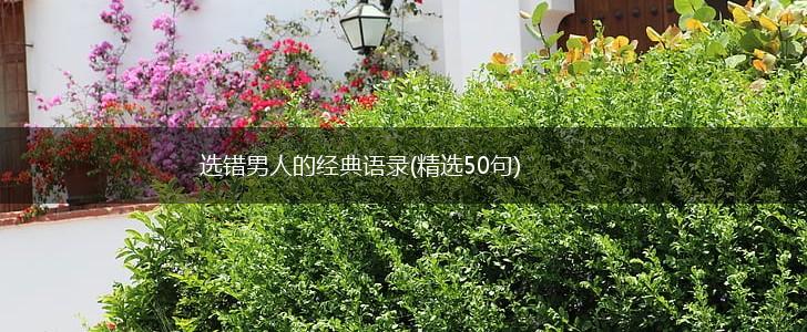 选错男人的经典语录(精选50句),第1张