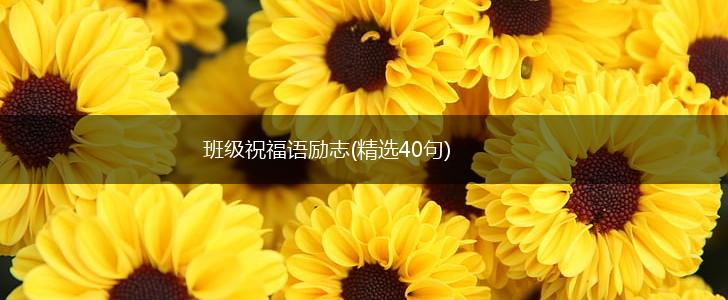 班级祝福语励志(精选40句),第1张