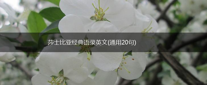 莎士比亚经典语录英文(通用20句),第1张