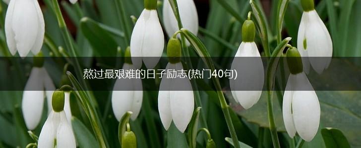 熬过最艰难的日子励志(热门40句),第1张