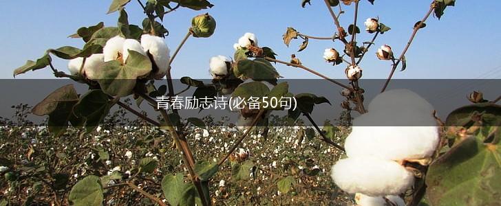 青春励志诗(必备50句),第1张