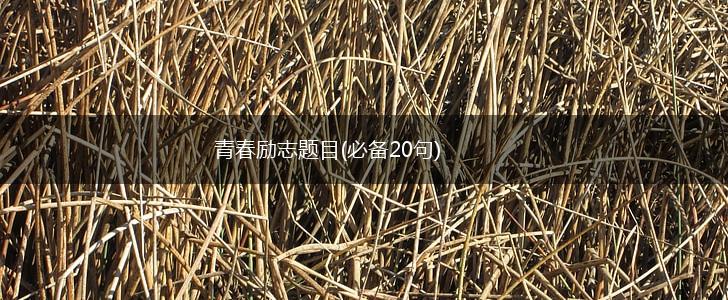 青春励志题目(必备20句),第1张