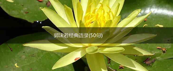 郭沫若经典语录(50句),第1张