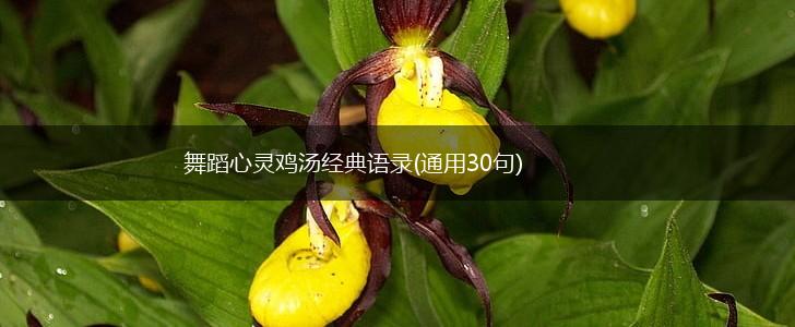 舞蹈心灵鸡汤经典语录(通用30句),第1张