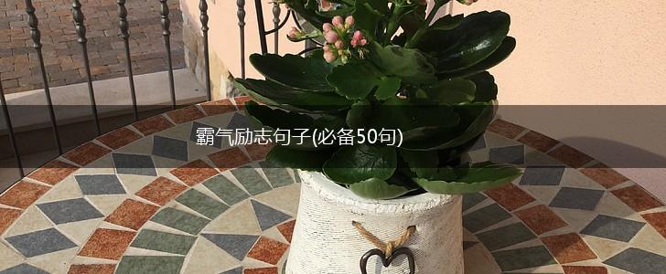 霸气励志句子(必备50句),第1张