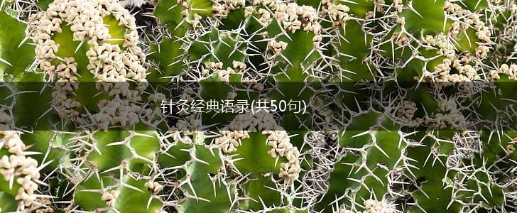 针灸经典语录(共50句),第1张