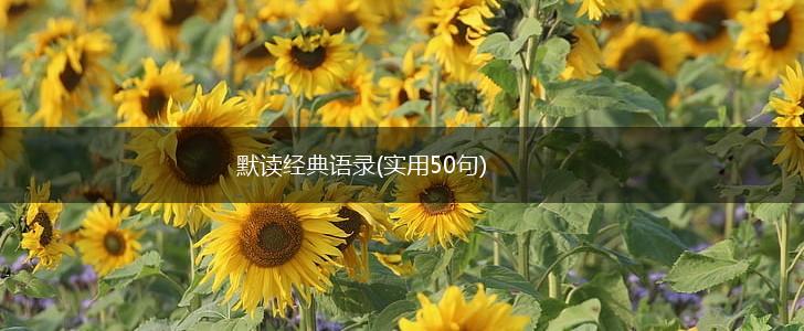 默读经典语录(实用50句),第1张