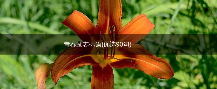 青春励志标语(优选90句),第1张