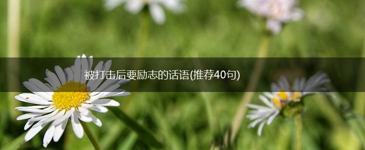 被打击后要励志的话语(推荐40句),第1张