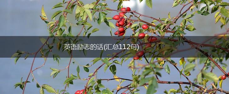 英语励志的话(汇总112句),第1张