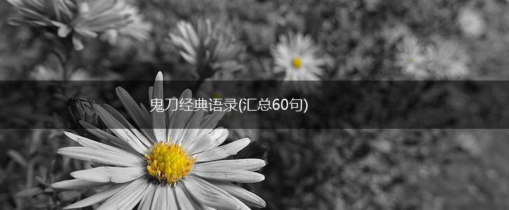 鬼刀经典语录(汇总60句),第1张