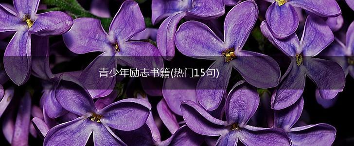 青少年励志书籍(热门15句),第1张