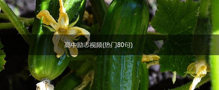 高中励志视频(热门80句),第1张