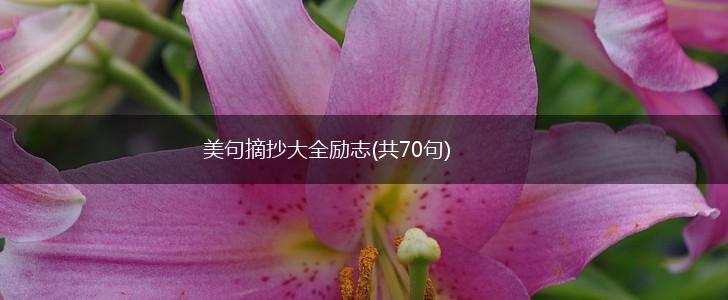 美句摘抄大全励志(共70句),第1张