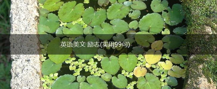 英语美文 励志(实用99句),第1张