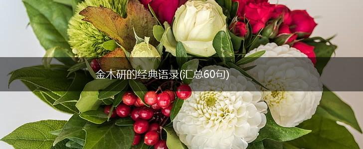金木研的经典语录(汇总60句),第1张