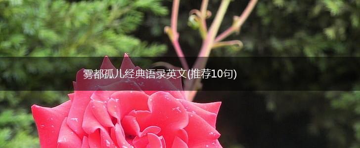 雾都孤儿经典语录英文(推荐10句),第1张