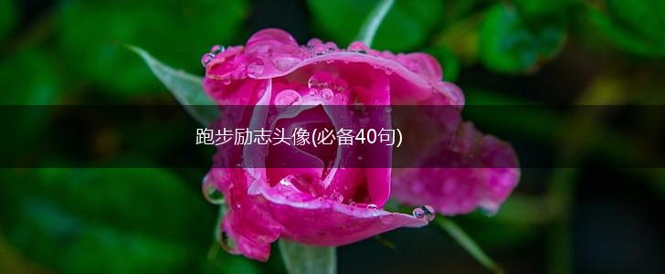 跑步励志头像(必备40句),第1张