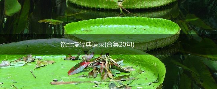 饶雪漫经典语录(合集20句),第1张