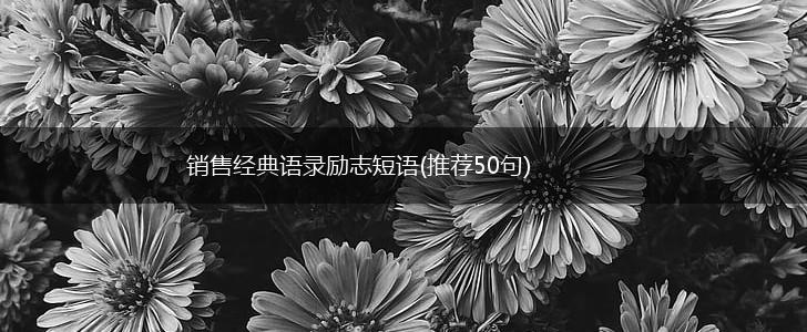 销售经典语录励志短语(推荐50句),第1张