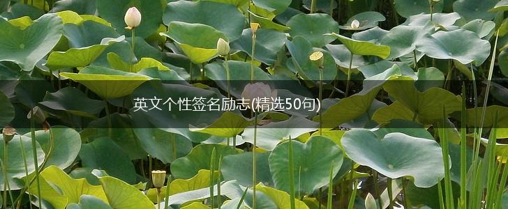 英文个性签名励志(精选50句),第1张 英文个性签名励志(精选50句),第1张