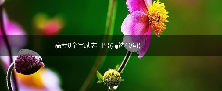 高考8个字励志口号(精选40句),第1张