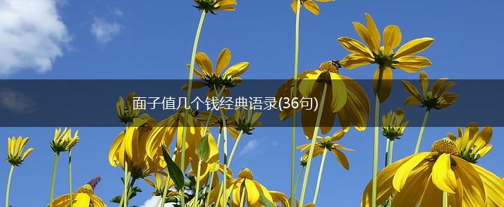 面子值几个钱经典语录(36句),第1张