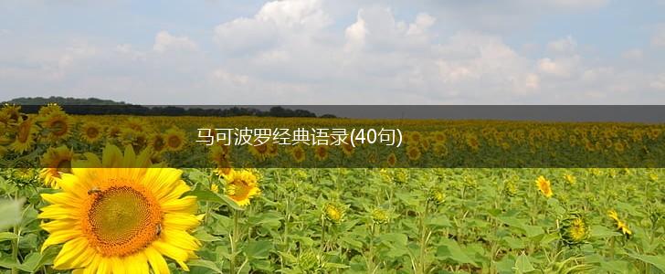 马可波罗经典语录(40句),第1张