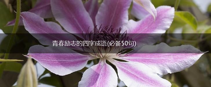 青春励志的四字成语(必备50句),第1张