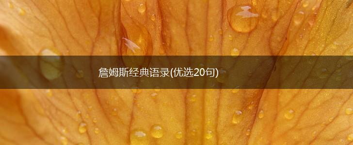 詹姆斯经典语录(优选20句),第1张