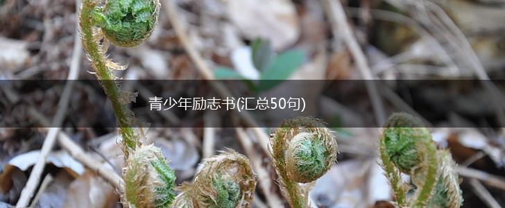 青少年励志书(汇总50句),第1张