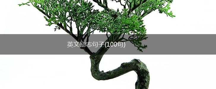 英文励志句子(100句),第1张