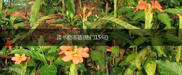 读书励志语(热门15句),第1张