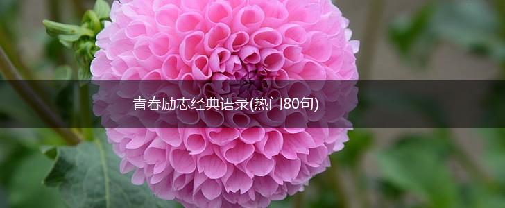 青春励志经典语录(热门80句),第1张