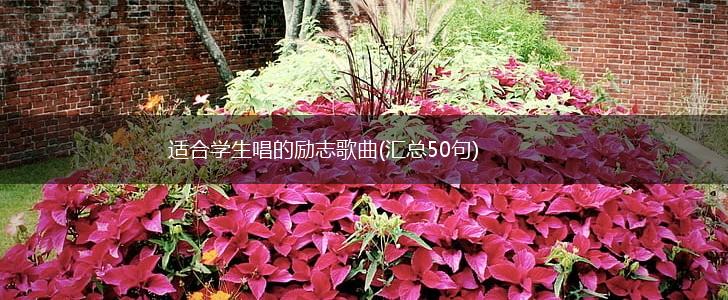 适合学生唱的励志歌曲(汇总50句),第1张