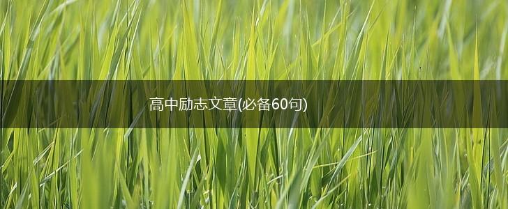 高中励志文章(必备60句),第1张