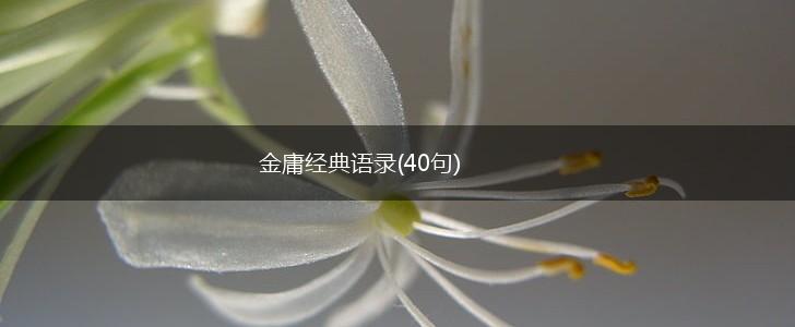 金庸经典语录(40句),第1张