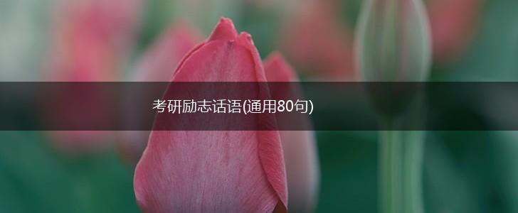 考研励志话语(通用80句),第1张