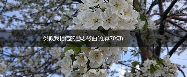 类似我相信的励志歌曲(推荐70句),第1张