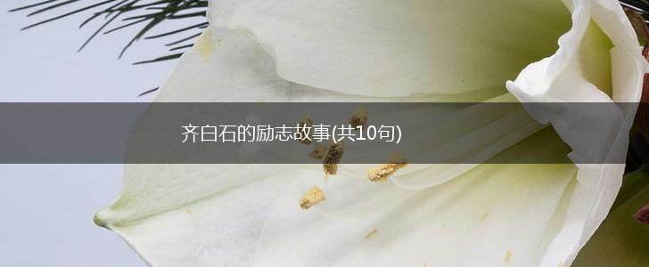 齐白石的励志故事(共10句),第1张