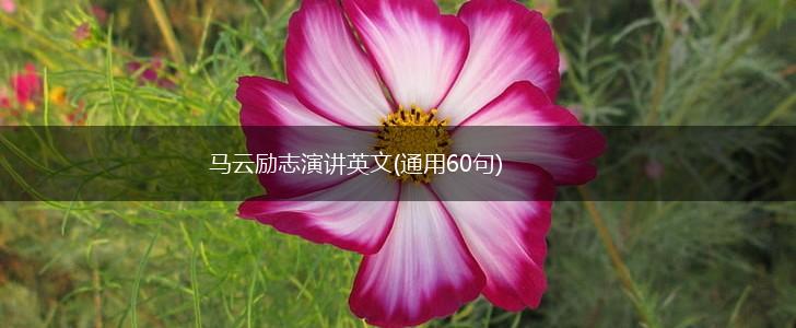 马云励志演讲英文(通用60句),第1张