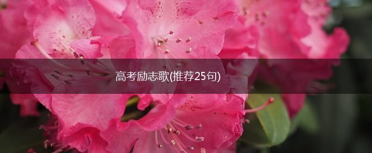 高考励志歌(推荐25句),第1张