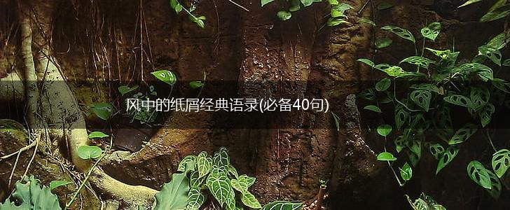 风中的纸屑经典语录(必备40句),第1张