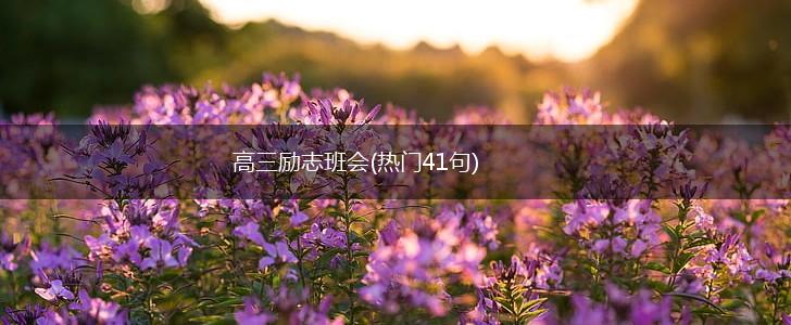 高三励志班会(热门41句),第1张